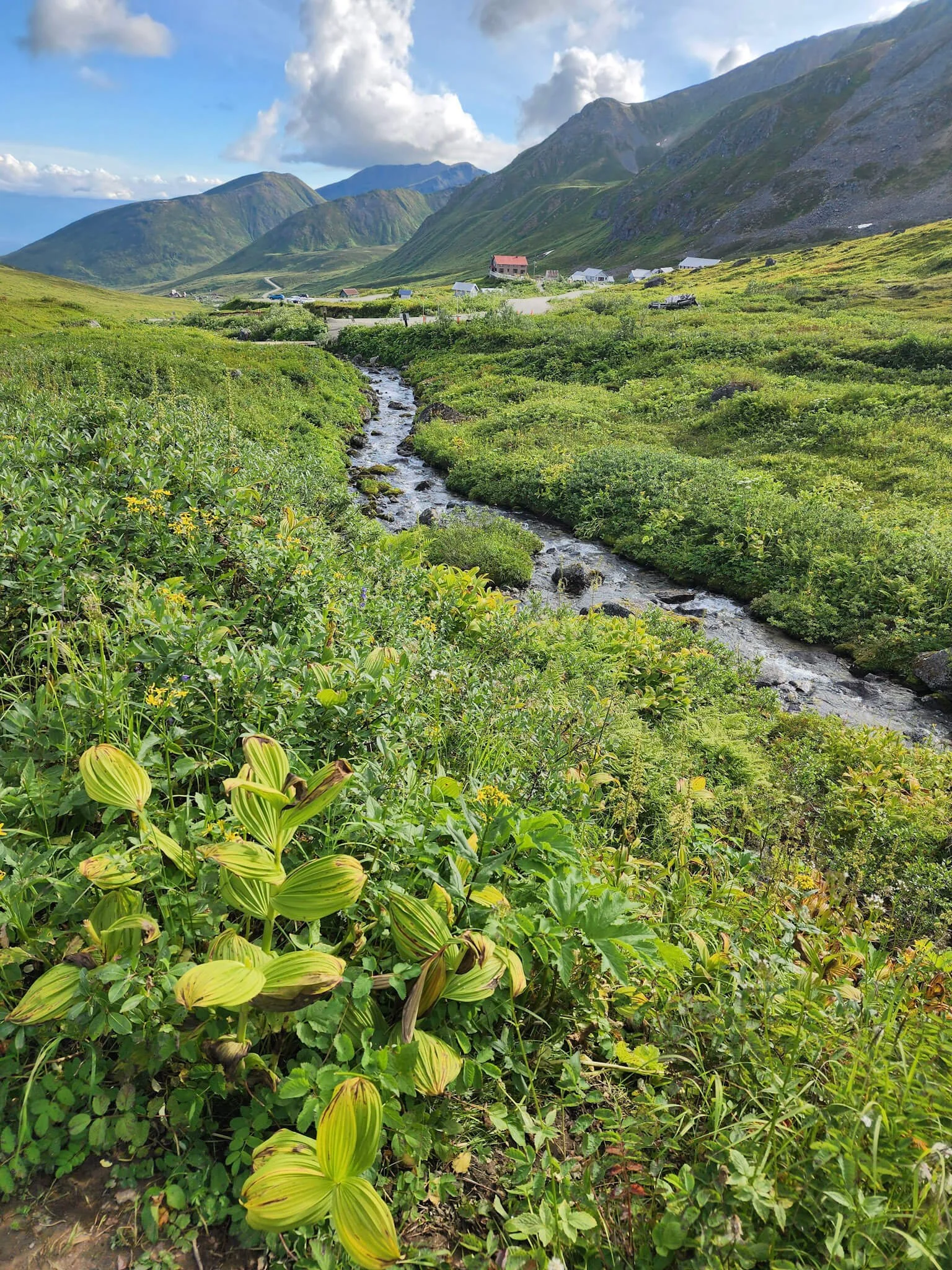 4 Days in Palmer Alaska: A Small Town with Big Adventures